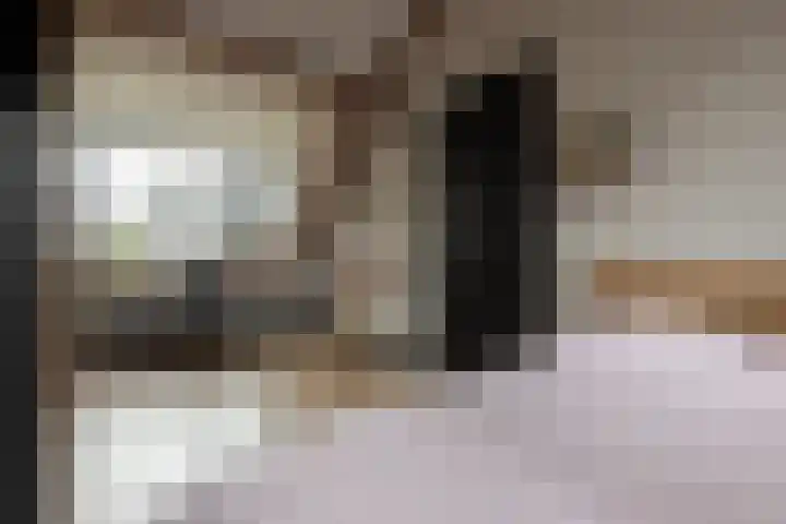 Haruku 9 Barneveld thumbnail 42