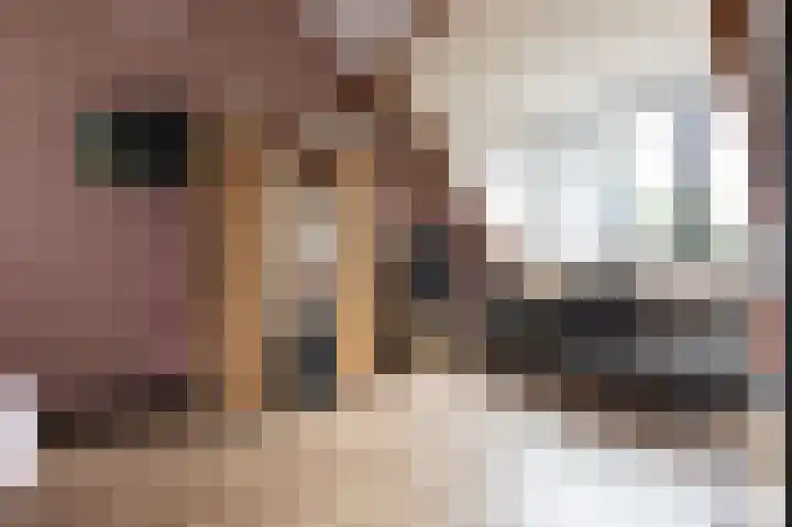 Haruku 9 Barneveld thumbnail 43