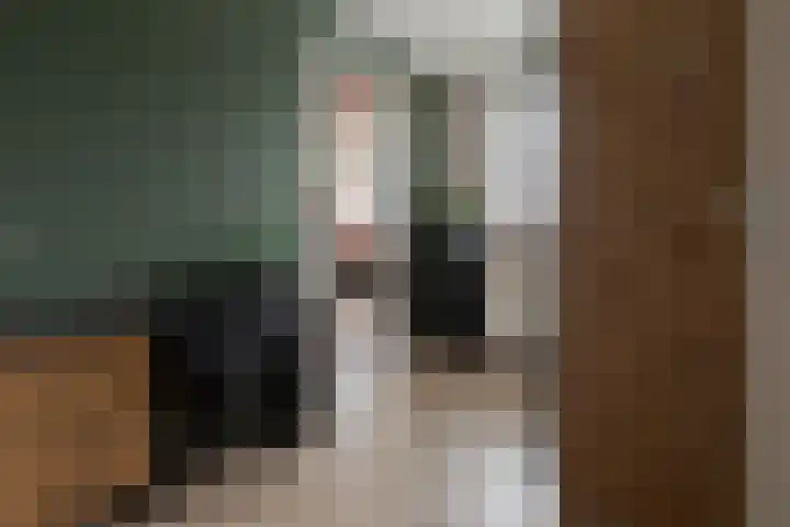 Haruku 9 Barneveld thumbnail 44
