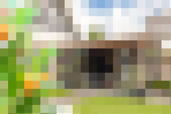 Haruku 9 Barneveld thumbnail 49