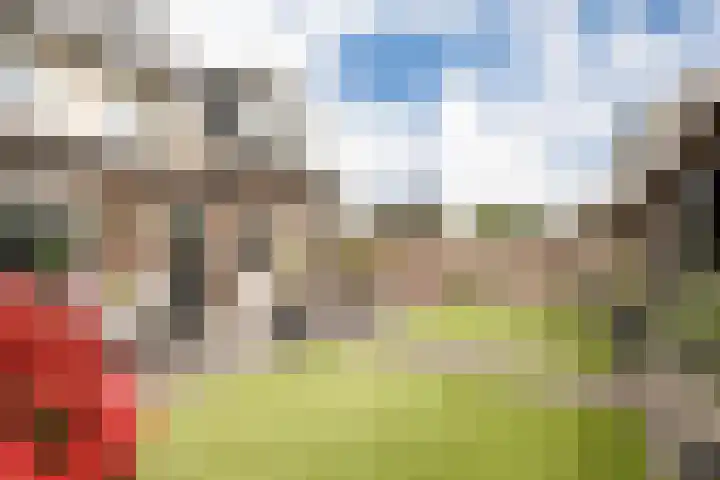 Haruku 9 Barneveld thumbnail 50