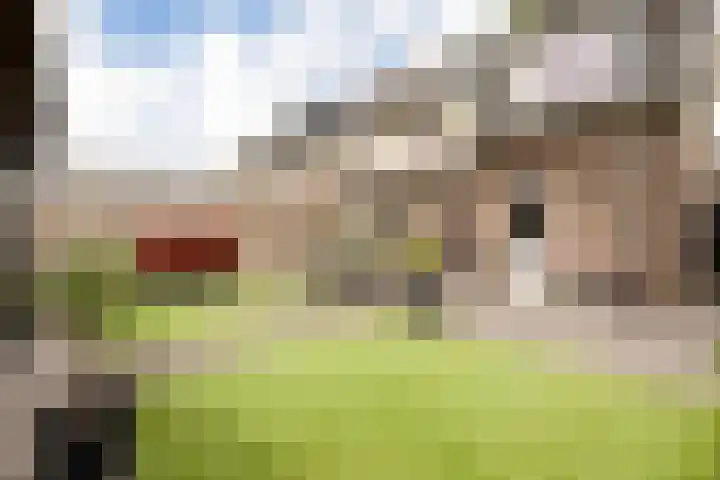 Haruku 9 Barneveld thumbnail 51