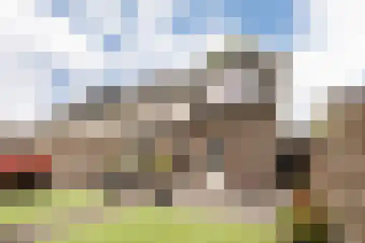 Haruku 9 Barneveld thumbnail 52
