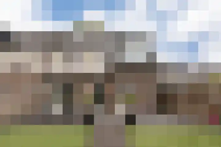 Haruku 9 Barneveld thumbnail 54