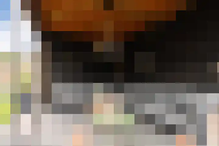 Haruku 9 Barneveld thumbnail 56
