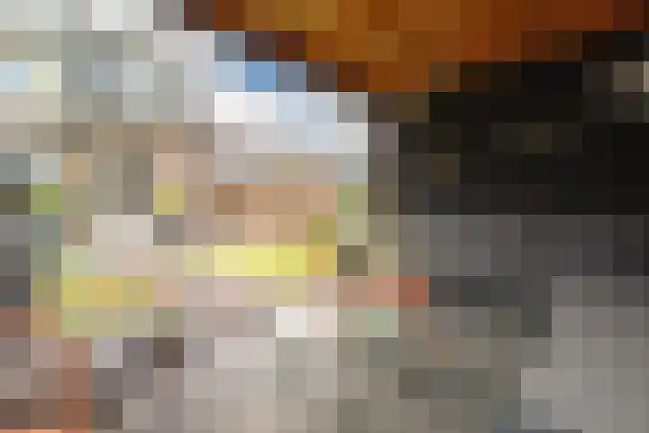 Haruku 9 Barneveld thumbnail 57