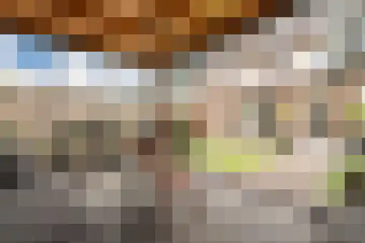 Haruku 9 Barneveld thumbnail 58
