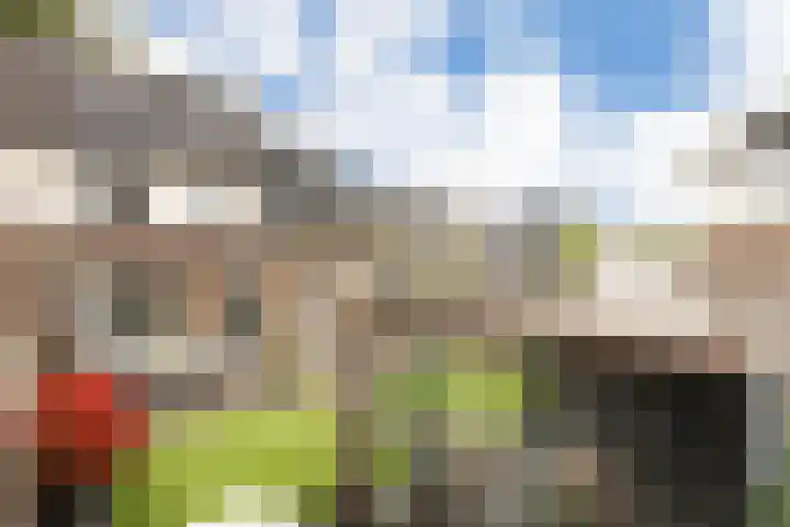Haruku 9 Barneveld thumbnail 59