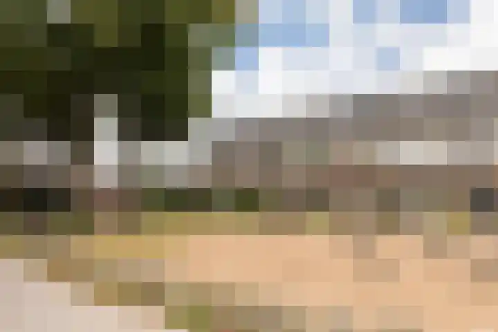 Haruku 9 Barneveld thumbnail 6