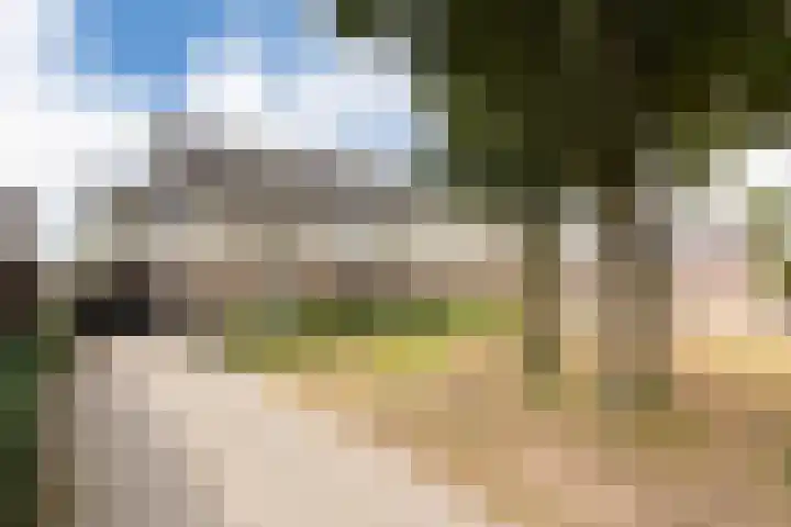 Haruku 9 Barneveld thumbnail 7
