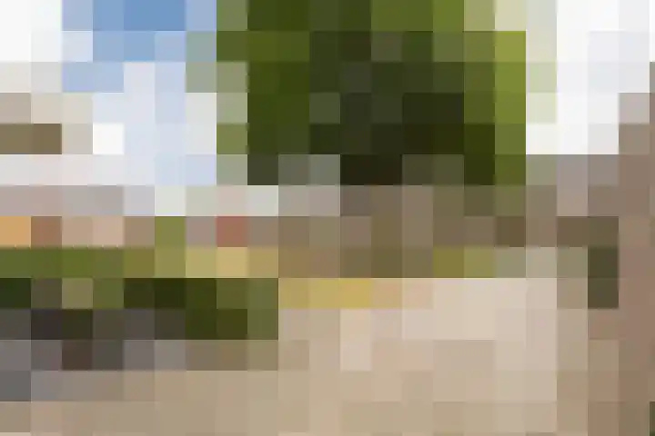 Haruku 9 Barneveld thumbnail 9