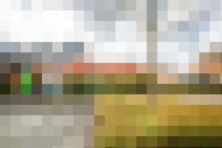 Harz 41 Doetinchem thumbnail 17