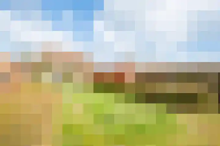 Harz 41 Doetinchem thumbnail 35