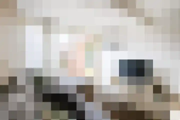 Harz 41 Doetinchem thumbnail 5