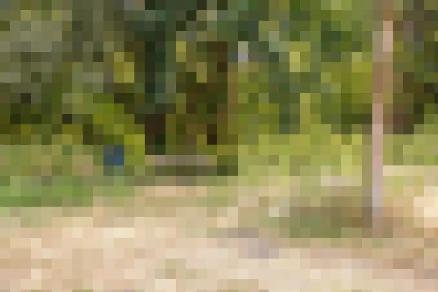 Harz 43 Helmond thumbnail 33