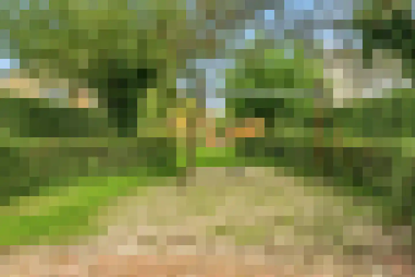 Harz 6 Doetinchem thumbnail 42