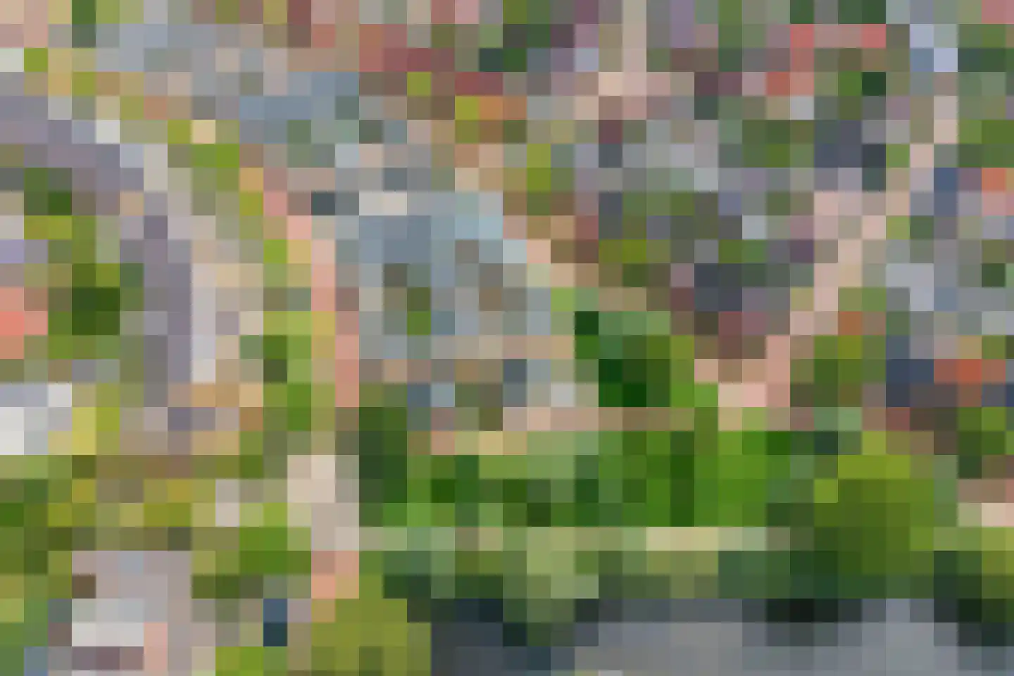 Harz 6 Doetinchem thumbnail 46