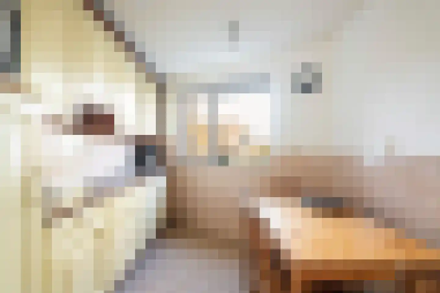 Harzstraat 2 Woerden thumbnail 10