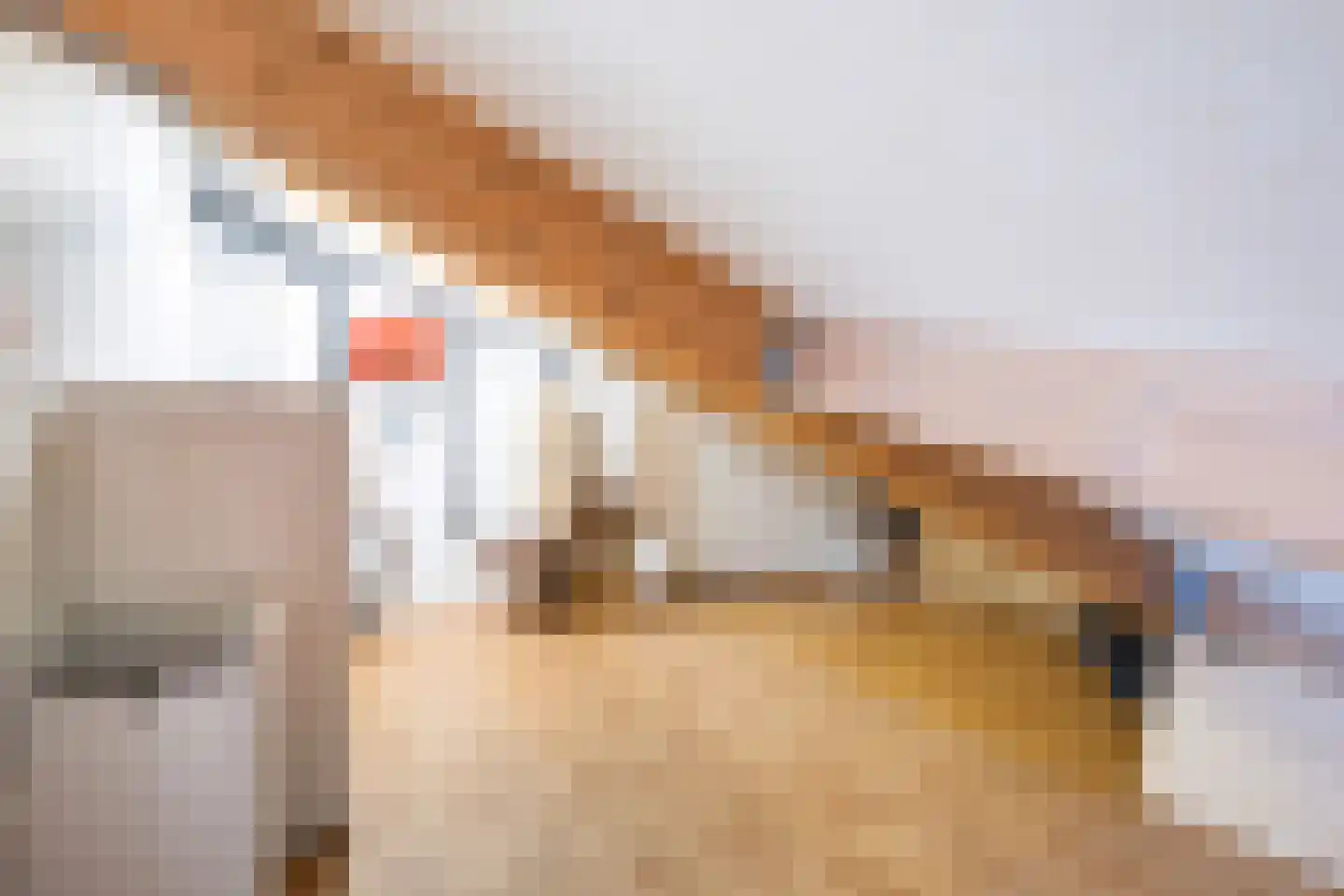 Harzstraat 2 Woerden thumbnail 26