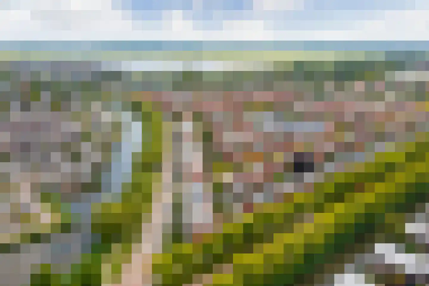 Harzstraat 2 Woerden thumbnail 34