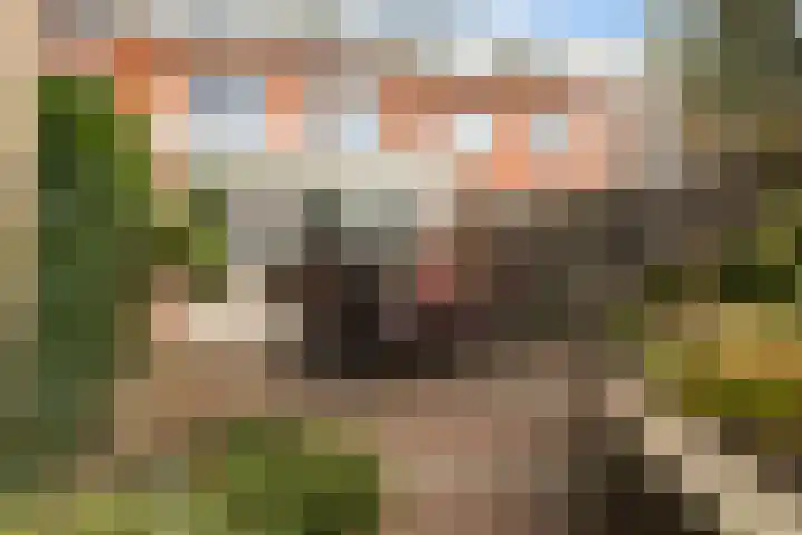Harzstraat 33 Woerden thumbnail 33