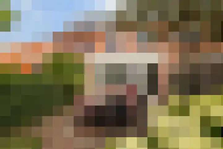 Harzstraat 33 Woerden thumbnail 34