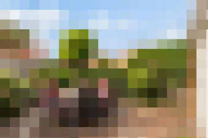 Harzstraat 33 Woerden thumbnail 35