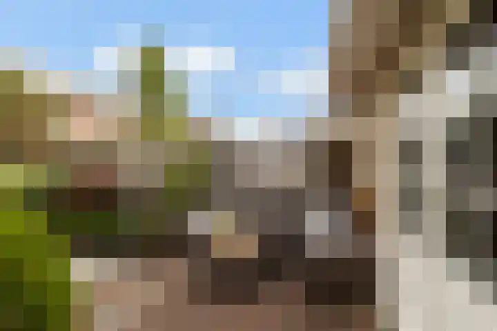 Harzstraat 33 Woerden thumbnail 42