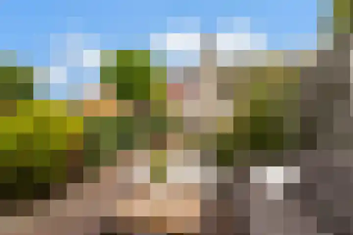 Harzstraat 33 Woerden thumbnail 43