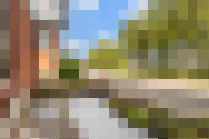 Harzstraat 33 Woerden thumbnail 6