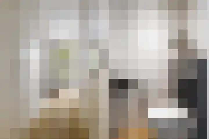 Harzstraat 33 Woerden thumbnail 9