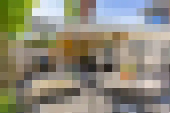 Harzstraat 9 Hengelo thumbnail 32