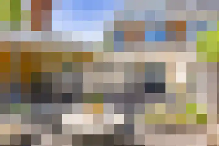 Harzstraat 9 Hengelo thumbnail 33