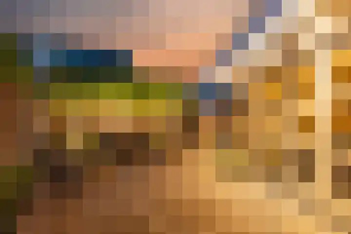Harzstraat 9 Hengelo thumbnail 34