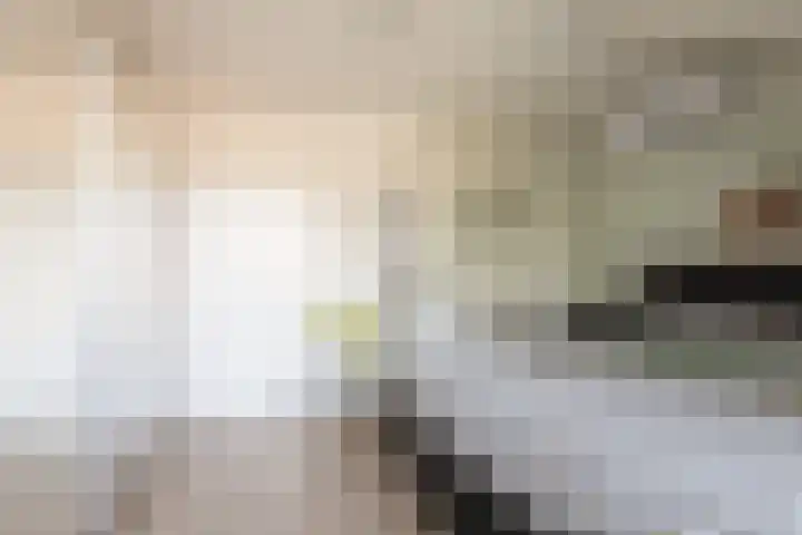 Hascarstrjitte 17 Ysbrechtum thumbnail 20