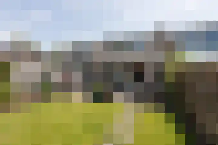 Hascarstrjitte 17 Ysbrechtum thumbnail 26