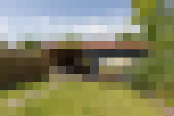 Hascarstrjitte 17 Ysbrechtum thumbnail 29