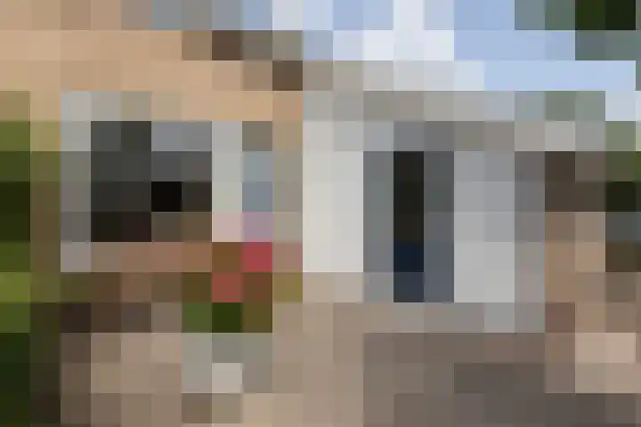 Hascarstrjitte 17 Ysbrechtum thumbnail 32
