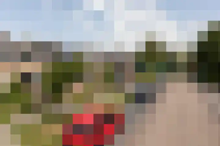 Hascarstrjitte 17 Ysbrechtum thumbnail 35