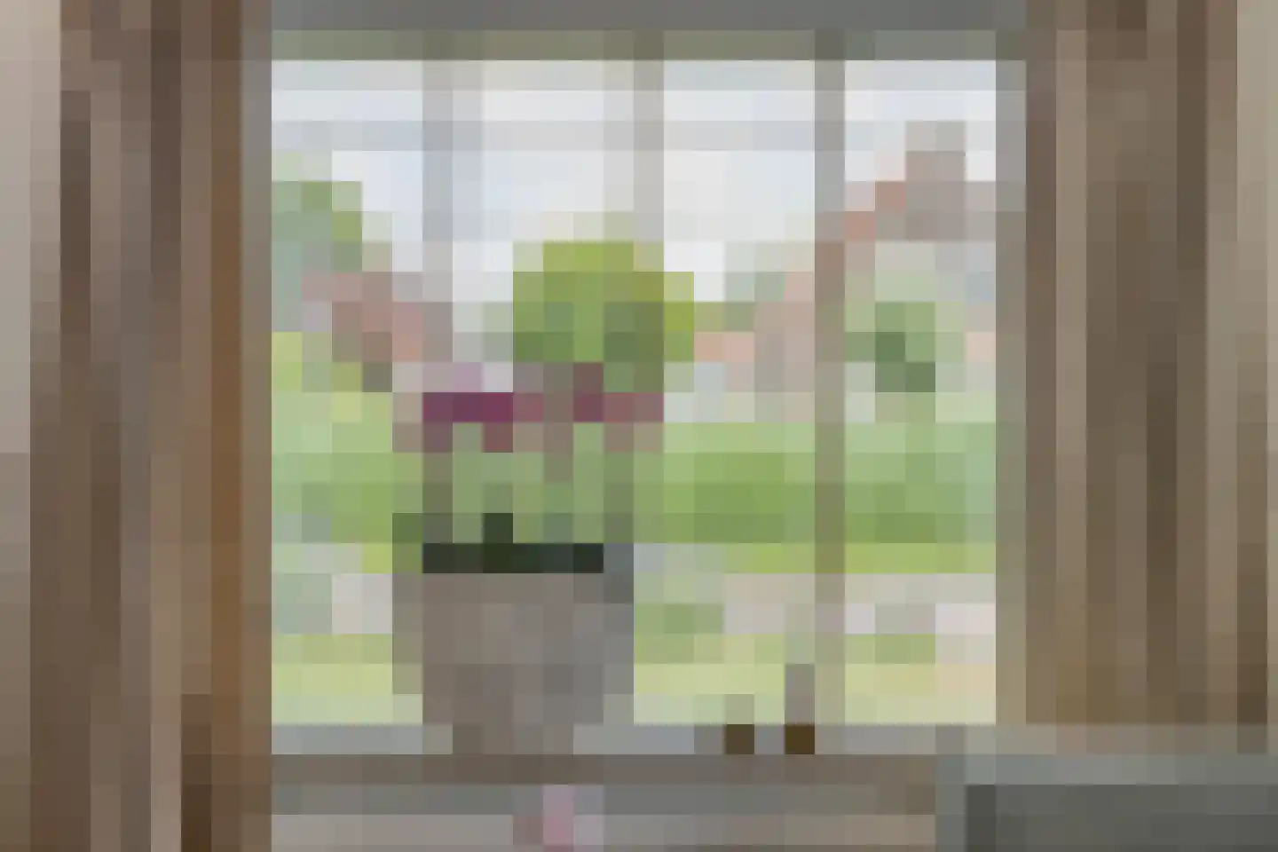 Hascarstrjitte 30 Ysbrechtum thumbnail 12