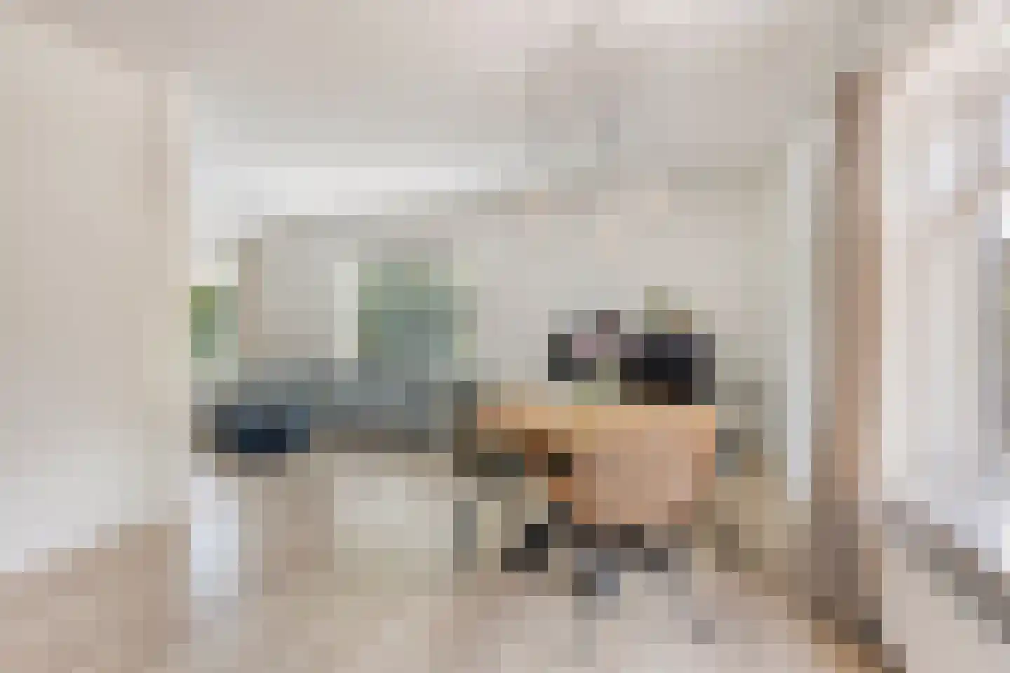 Hascarstrjitte 30 Ysbrechtum thumbnail 16