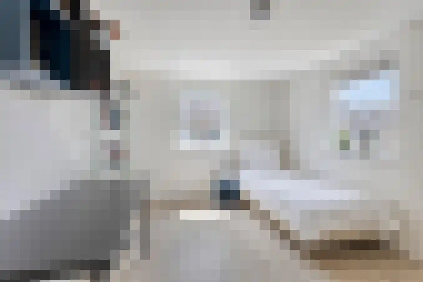 Hascarstrjitte 30 Ysbrechtum thumbnail 30