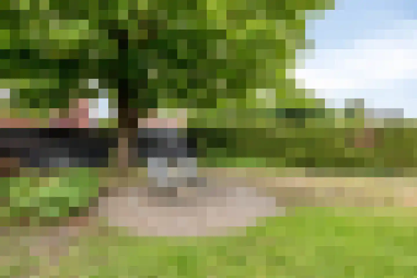 Hascarstrjitte 30 Ysbrechtum thumbnail 34