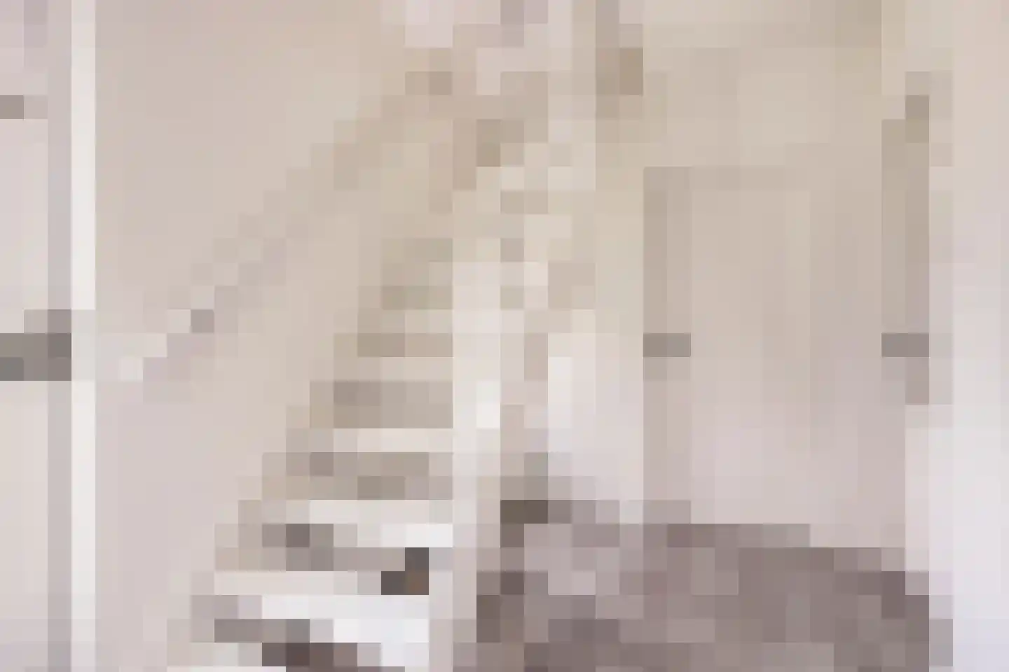 Hascarstrjitte 30 Ysbrechtum thumbnail 7