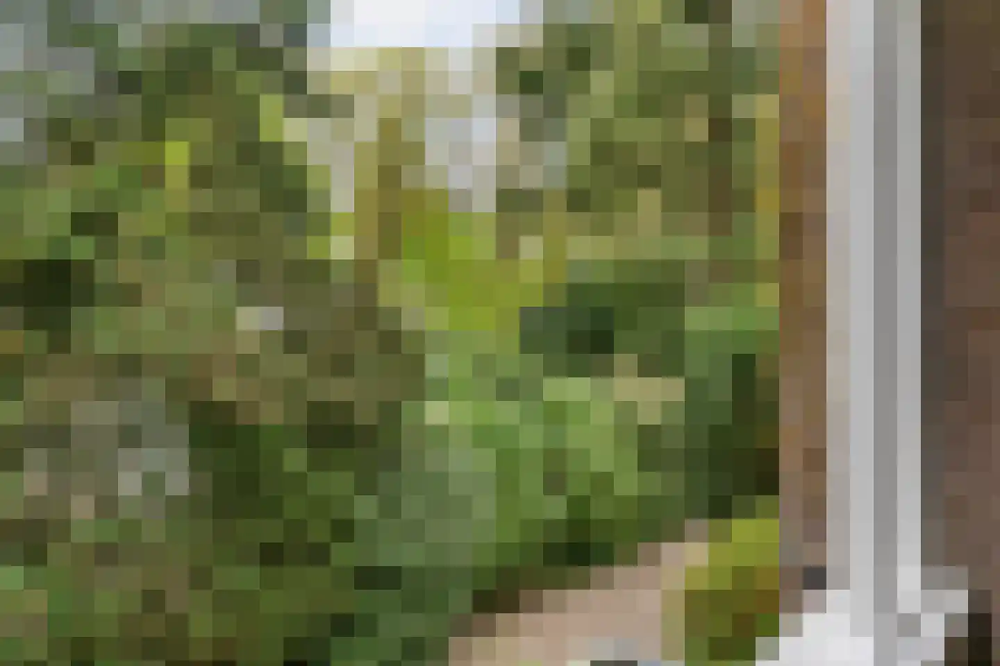 Hasebroeklaan 25 Bilthoven thumbnail 30