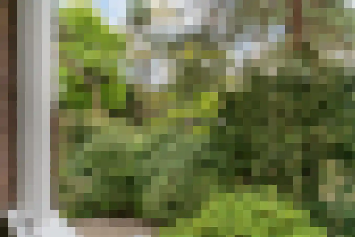 Hasebroeklaan 25 Bilthoven thumbnail 31