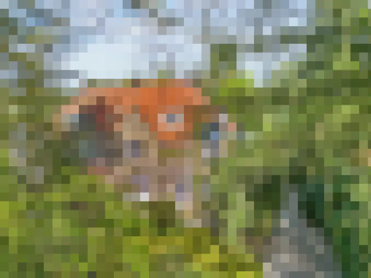 Hasebroeklaan 25 Bilthoven thumbnail 57