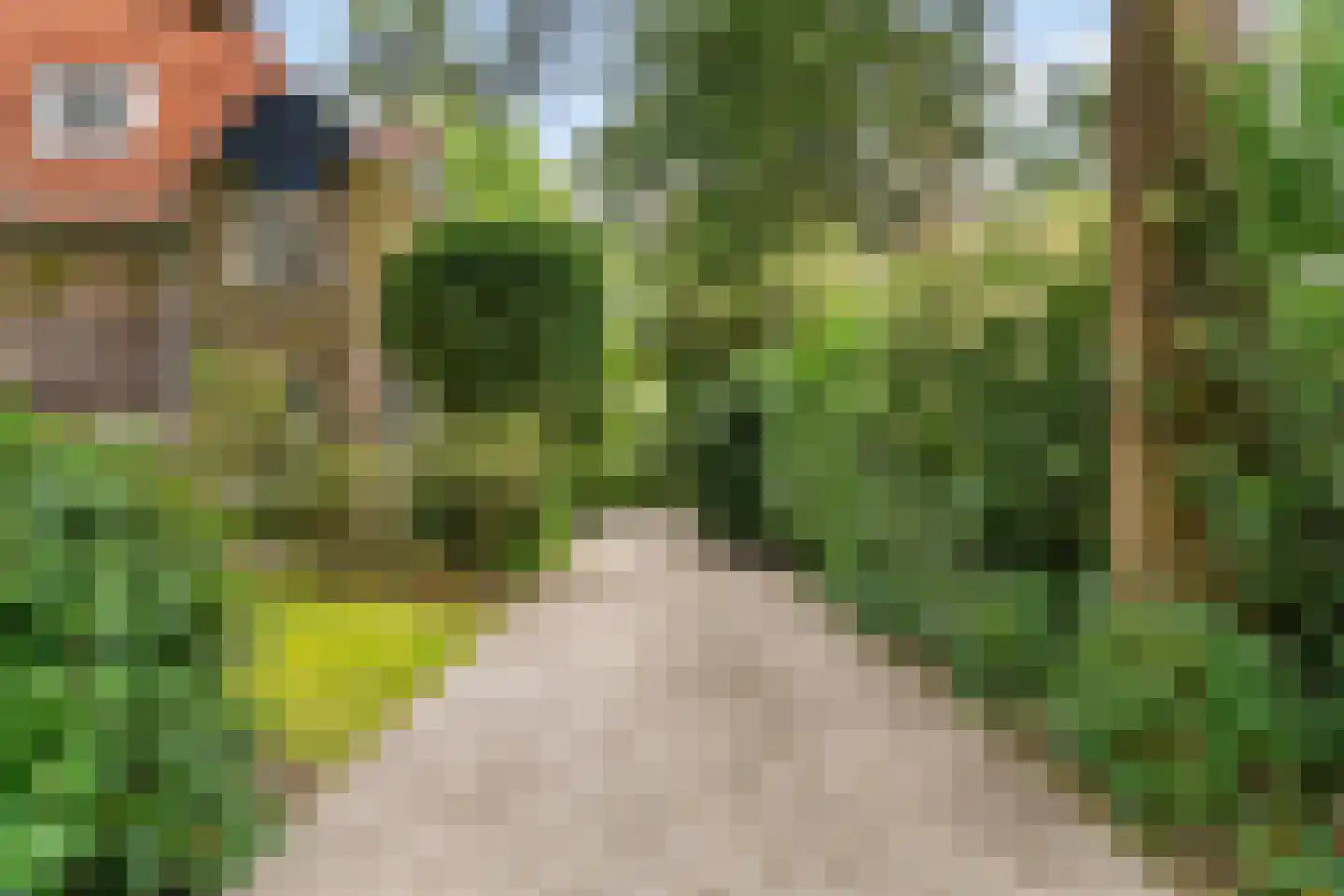 Hasebroeklaan 25 Bilthoven thumbnail 6