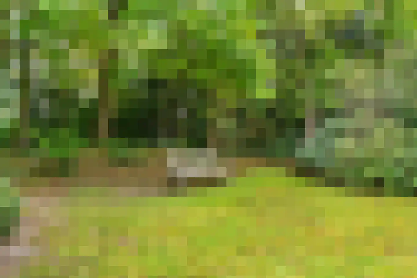Hasebroeklaan 25 Bilthoven thumbnail 60