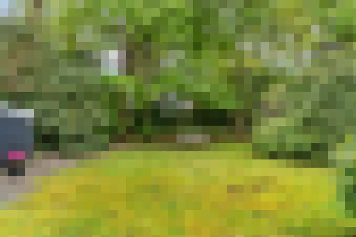 Hasebroeklaan 25 Bilthoven thumbnail 62